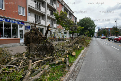 Zwalone drzewo po nawałnicy na Podwalu Staromiejskim...