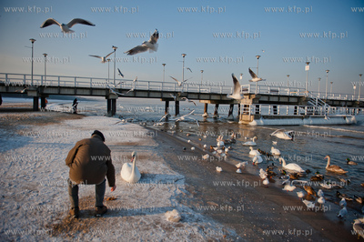 Gdansk. Mrozne popoludnie na plazy w Brzeznie. Niskie...