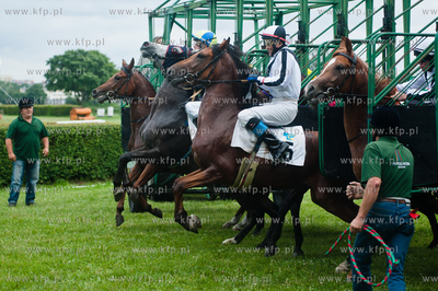 Wyscigi konne na sopockim hipodromie.
13.07.2013
fot....
