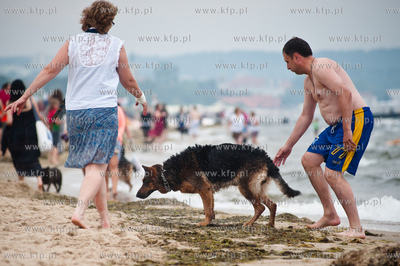Sopocka plaza przyjazna dla zwierzat. Wprowadzona uchwala...