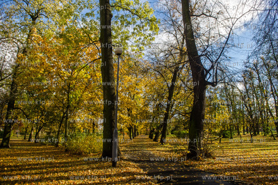 Gdańsk. Jesien w Parku Steffensa.
30.10.2016
fot....