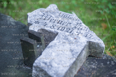Gdańsk. Lapidarium w parku Akademickim. 17.07.2017...