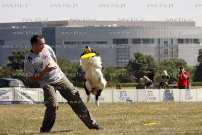 Sopocka Wystawa Psow Rasowych. W trakcie wystawy odbywaly...