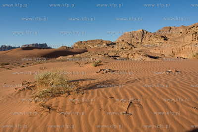 Wadi Rum Jordania NZ Pustynia Wadi Rum. 04.11.2009...