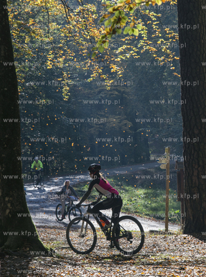 Trójmiejski Park Krajobrazowy jesienią. 13.10.2018...