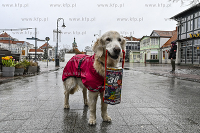 Sopot. 30. edycja Wielkiej Orkiestry Swiatecznej Pomocy...