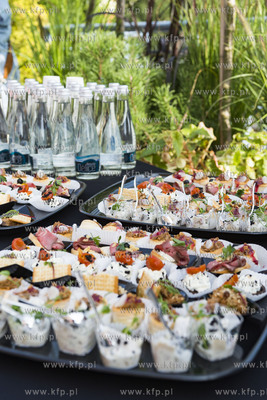 Tajemniczy Ogród na tarasie dla pacjentów onkologicznych...