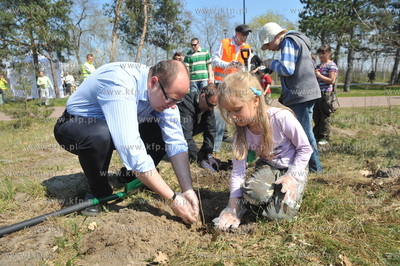 "Las ojców" - czyli sadzenie drzewek przez gdanskich...