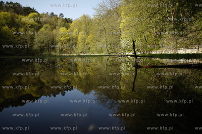 Sopockie Morskie Oko czyli Staw Nowowiejskiego malowniczy...
