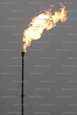 Premier Donald Tusk odwiedził w Lubocinie (powiat...