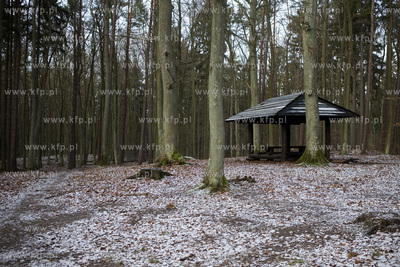 Trójmiejski Park Krajobrazowy. Szlak niebieski ( Szwedzka...