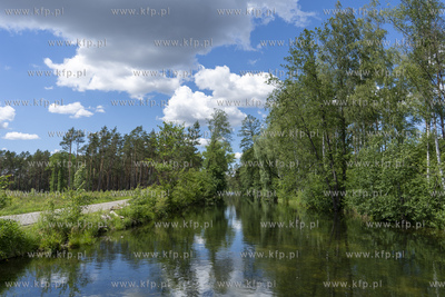 Szlak kajakowy Wielkim Kanałem Brdy - to sztuczny...