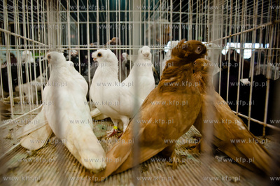 Gdansk. Gdansk. Amber Expo. 8. Miedzynarodowe Targi...