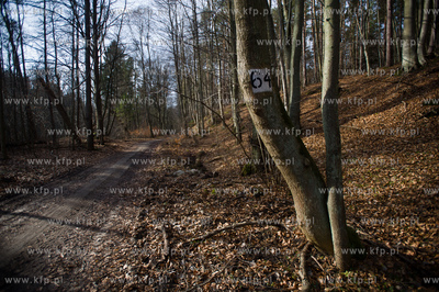 Gdansk. Oliwa, Trojmiejski Park Krajobrazowy. Sciezka...