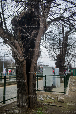 Gdańsk. Znajdująca się w ciągu Alei Zwyciestwa,...
