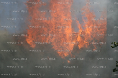 Pozar zabytkowego kosciola sw Katarzyny w Gdansku.
22.05.2006
Fot....