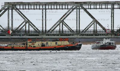 Szczecin. Wspolna akcja polskich ( Dzik, Lis, Zbik,...