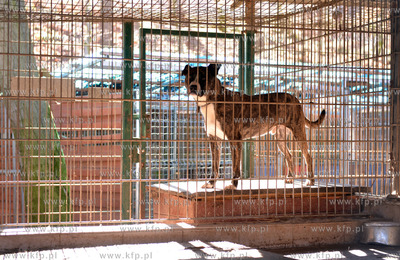 Gdynia. Ogolnopolskie Towarzystwo Ochrony Zwierzat...