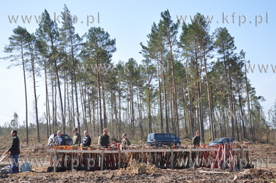 Sadzeniu lasu w Dywanie (gmina Dziemiany), w miejscu,...