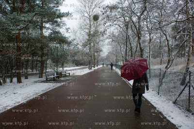 Zima w Brzeźnie. 16.12.2018 fot. Paweł Marcinko /...