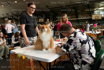Międzynarodowa wystawa kotów rasowych "Koty na Hawajach"...