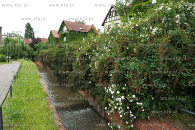 Gdansk Wrzeszcz, Park nad Strzyza.
02.07.2009
fot....
