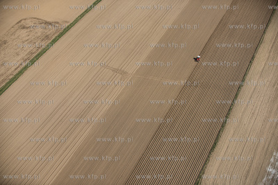 Pole w okolicy Banina. 16.04.2014 fot. Wojtek Jakubowski...