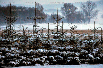 Zimowy wieczor w Sulminie na Kaszubach.
03.01.2010
fot....