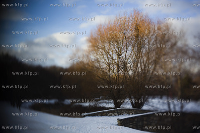 Park Ronalda Reagana.
20.01.2016
fot. Krzysztof Mystkowski...