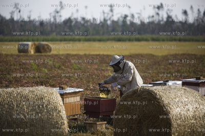 Skutki nawałnicy, która z piątku na sobotę przeszła...