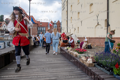 Okolice Spichlerzy Narodowego Muzeum Morskiego na wyspie...