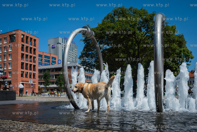 Gdańsk. Fontanna Heweliusza. Upalne lato w mieście....