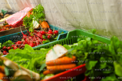 Gdansk. Hala Oliwia. Pierwsza edycja Gdanskiego Bazaru...