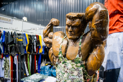 Miedzynarodowe Targi Gdanskie Amber Expo. Fit Festival...