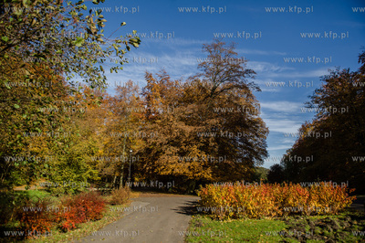 Gdansk. Jesienne, sloneczne przedpoludnie w Parku Orunskim.
27.10.2015
fot....