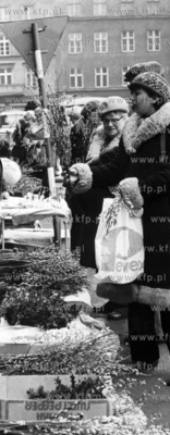 Wiosenne zakupy bazi na Hali Targowej w Gdansku. W...