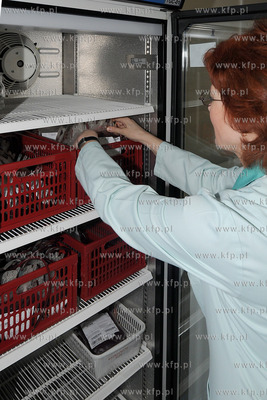 Regionalne Centrum Krwiodawstwa i Krwiolecznictwa SPZOZ...