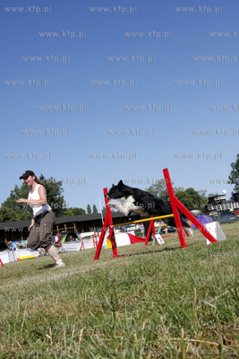 Sopocka Wystawa Psow Rasowych. W trakcie wystawy odbywaly...