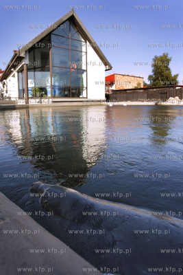 Hel po sezonie. Fokarium Stacji Morskiej Instytutu...