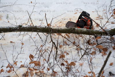 Powiat Bytowski. Lasy panstwowe. Wycinka drzew.
19.01.2010
fot....
