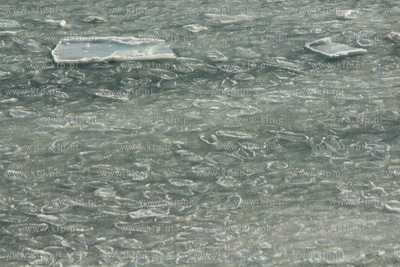 Mrozny poranek w Gdyni Orlowie. Nz. zamarzniete morze...