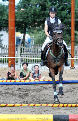 Stadnina koni MORINA w Redzie/Wejherowa. Towarzyskie...