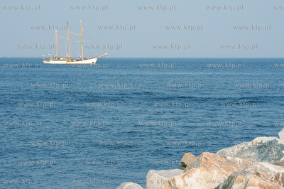 Sopot. Do sopockiej mariny wplynal Zawisza Czarny,...