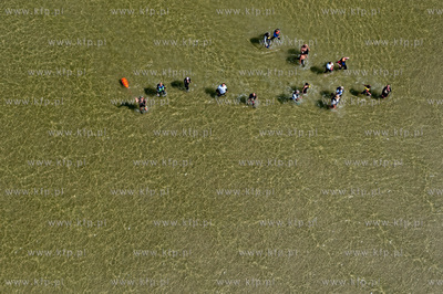 Marsz Sledzia odbywa sie Rybitwia Mielizna (Rewa Mew)...