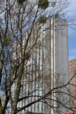 Gdansk. Hotel Mercure Hevelius. 8.04.2016 Fot. Maciej...