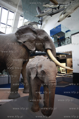 Londyn. Muzeum Historii Naturalnej.
07.10.2011
fot....