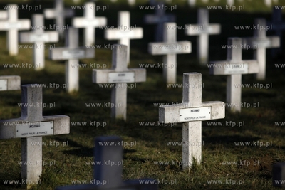 Wojskowy cmentarz francuski w Gdansku. 31.10.2013 fot....