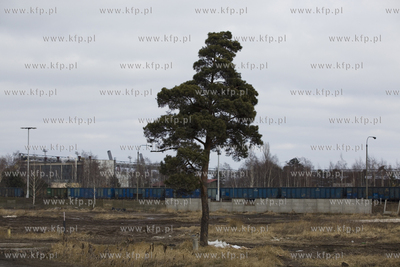 Gdańsk. Siarkopol S.A.
15.03.2018
fot. Krzysztof...