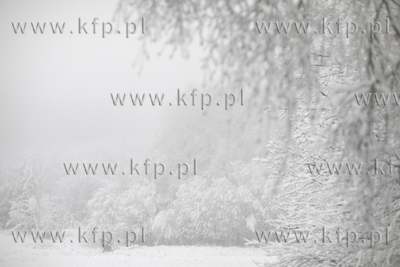 Zima w okolicach Czapielska na Kaszubach.
06.01.2021
fot....