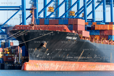 Kontenerowiec Istanbul Bridge zawinłą do Gdańska...